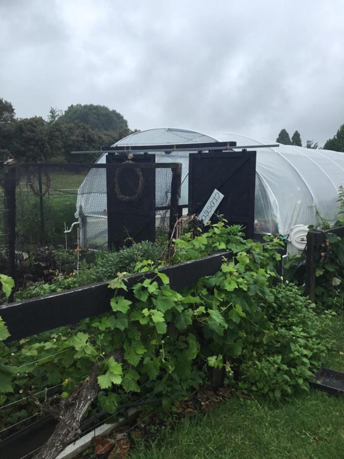 Te PunaThe Flower Nest Retreatアパートメント エクステリア 写真